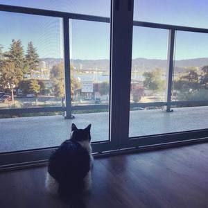 Meet your Posher, Ann